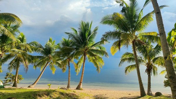 Optez pour un chauffeur privé et vivez une journée inoubliable